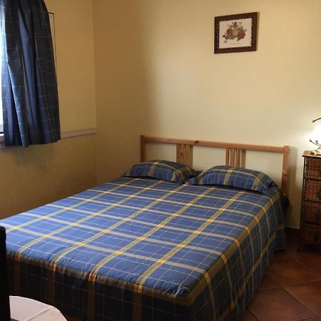 Guest House Ribatejo サルヴァテーラ・デ・マゴス エクステリア 写真