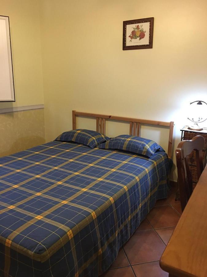 Guest House Ribatejo サルヴァテーラ・デ・マゴス エクステリア 写真