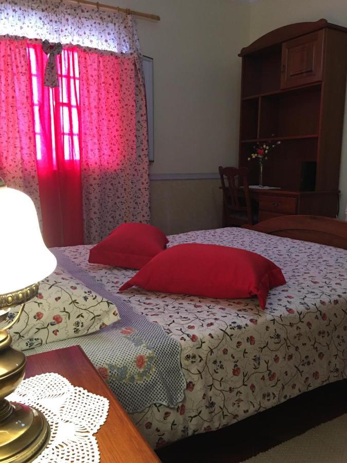 Guest House Ribatejo サルヴァテーラ・デ・マゴス エクステリア 写真