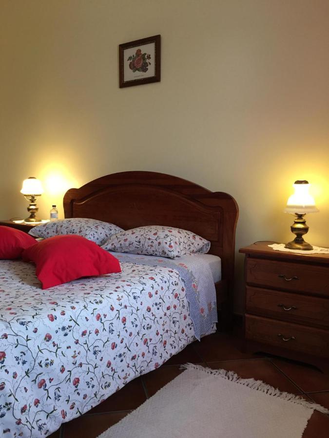 Guest House Ribatejo サルヴァテーラ・デ・マゴス エクステリア 写真