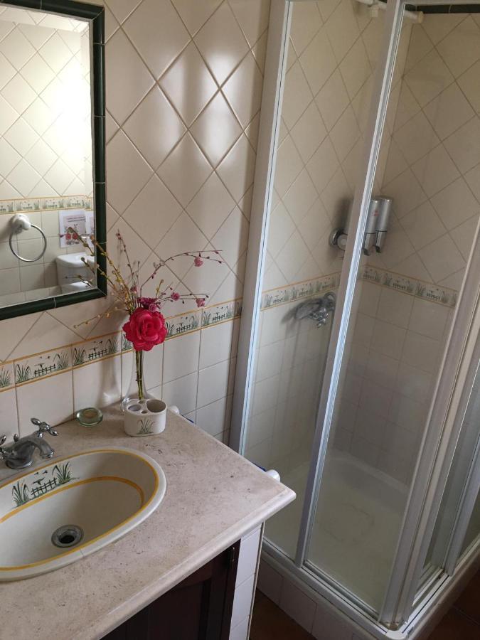 Guest House Ribatejo サルヴァテーラ・デ・マゴス エクステリア 写真