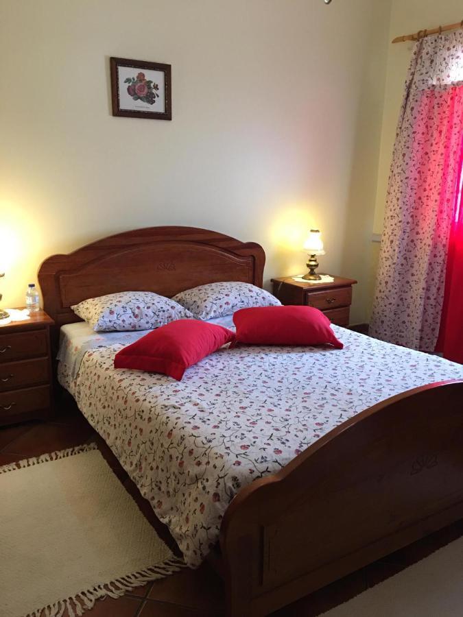Guest House Ribatejo サルヴァテーラ・デ・マゴス エクステリア 写真