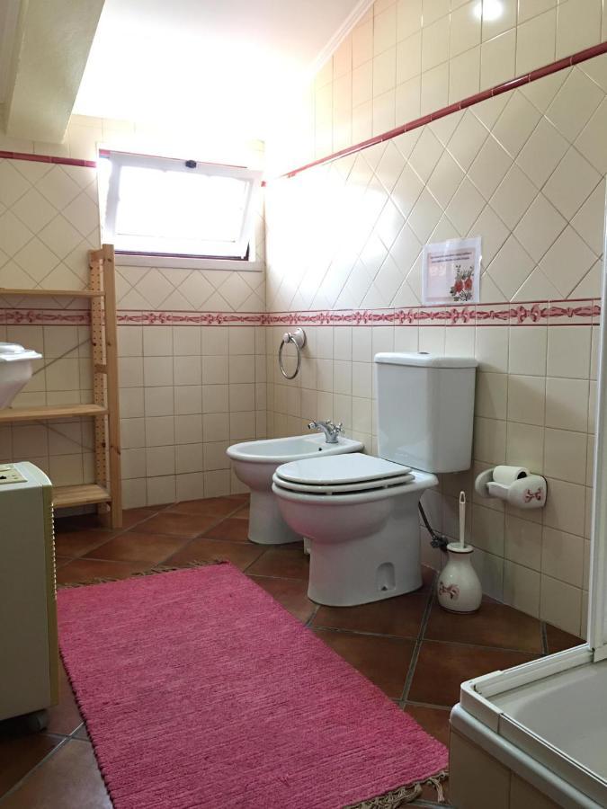 Guest House Ribatejo サルヴァテーラ・デ・マゴス エクステリア 写真