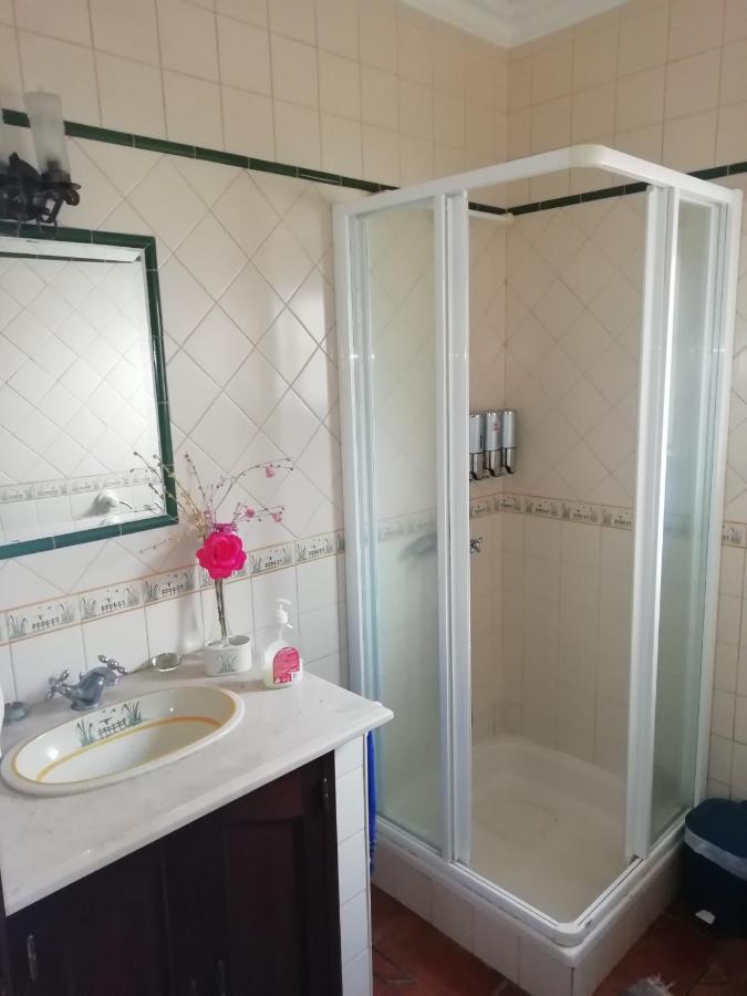 Guest House Ribatejo サルヴァテーラ・デ・マゴス エクステリア 写真