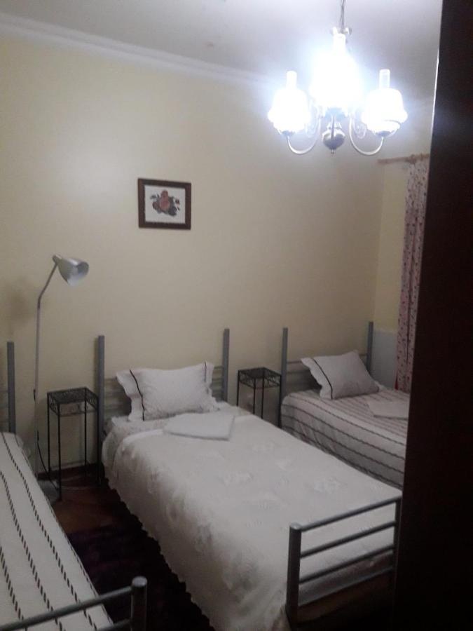 Guest House Ribatejo サルヴァテーラ・デ・マゴス エクステリア 写真