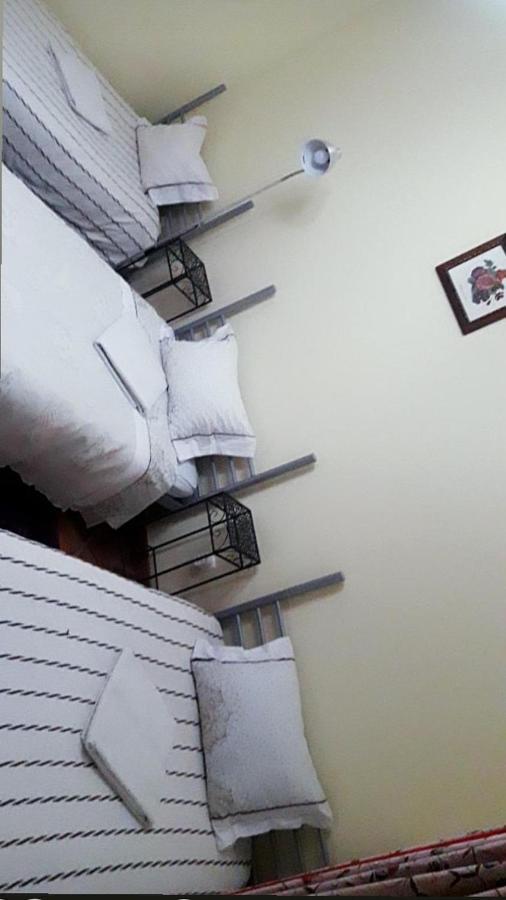 Guest House Ribatejo サルヴァテーラ・デ・マゴス エクステリア 写真
