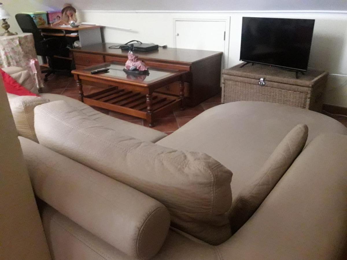 Guest House Ribatejo サルヴァテーラ・デ・マゴス エクステリア 写真